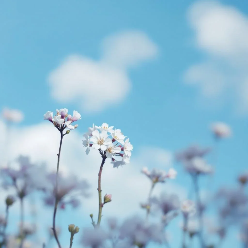 De ce te dor articulațiile la perimenopauză? Legătura dintre estrogen și inflamația articulară explicată simplu